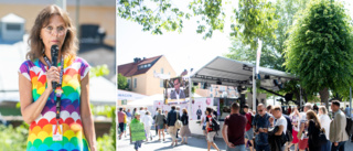 Listan: Här är de hetaste ämnena i Almedalen