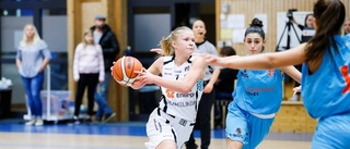 Luleå Basket värvar lokal talang – från farmarklubben