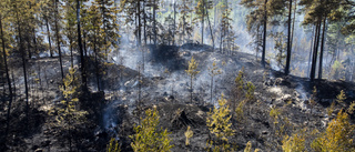 Skärpt eldningsförbud i länet från och med torsdag 