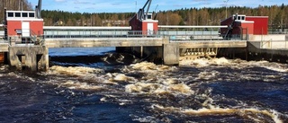 Äldre man drogs in under dammluckor