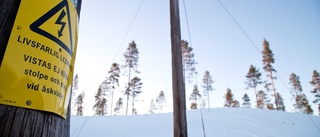 Skoterförare omkom i vajerolycka