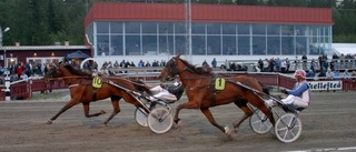 Piteåtränaren siktar på första championatet