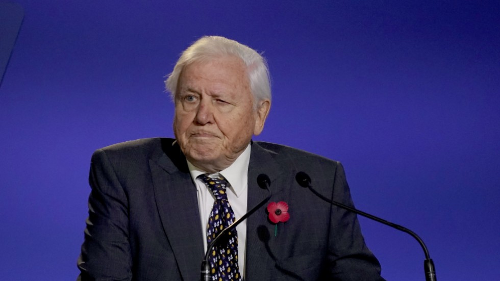 David Attenborough, 96, har spelat in ett nytt naturprogram för BBC. Bilden är från fjolårets klimatmöte i Glasgow. Arkivbild.
