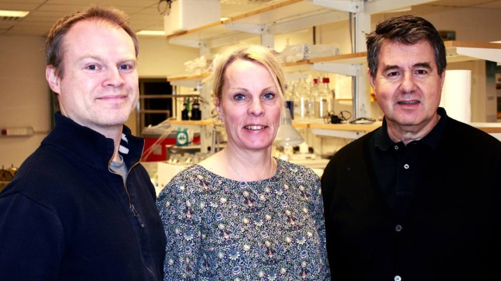 Forskare. Luleå tekniska universitets forskare Magnus Sjöblom, Ulrika Rova och Paul Christakopoulos.