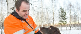 Eftersöksjägaren: ”Rådjuret skrek, ett sådant där ångestskrik”