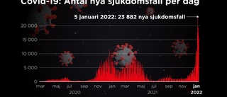Rekordmånga fall: "Mycket snabb smittspridning"