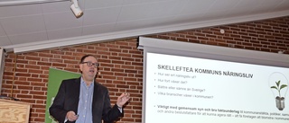 Skellefteås arbetsmarknad: Analytiker pekade på svagheter och möjligheter