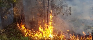 Räddningstjänsten har fullt upp i hettan