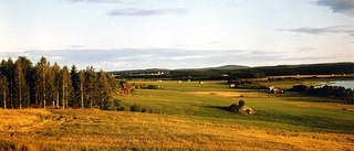 Burträsk - okänt årtal