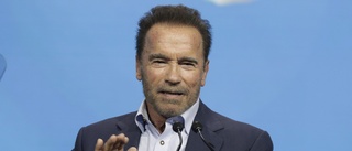 Schwarzenegger skild efter tioårig process