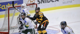 Luleå lånar ut tre spelare till Björklöven inför slutspurten i Damettan