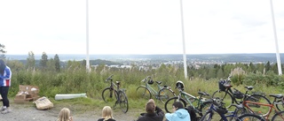 Oeniga politiker om naturreservat på Vitberget