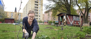 Vill upplåta mark för stadsodling