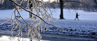 Luleåbor, vänta er en kylslagen helg med temperaturer utöver det vanliga • Meteorologen: "Kan bli 17 minus!"