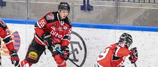 Piteå Hockey lånar ut spelare till seriekonkurrenten