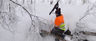 Minnet 2021: Heder åt alla eftersöksjägare – de är djurens hjältar 