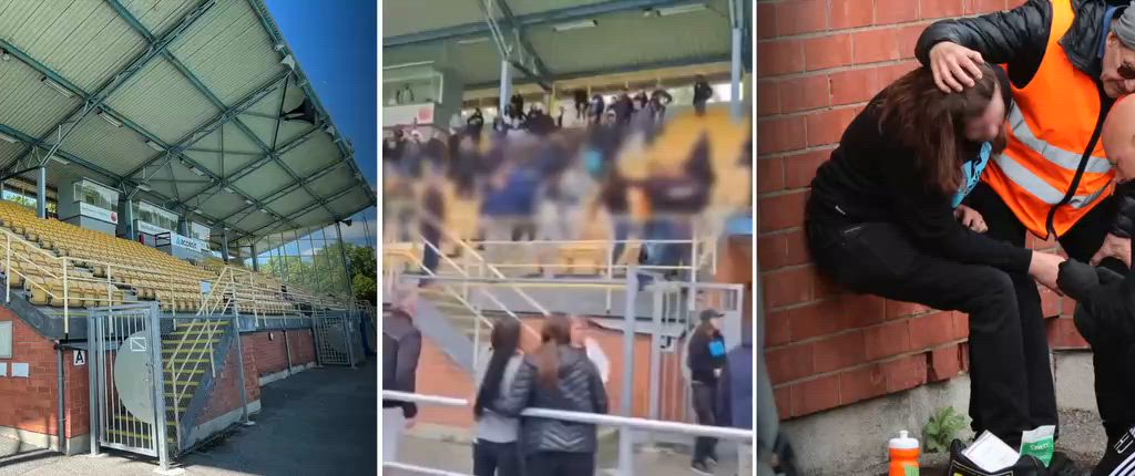 Webbpuff slagsmål på Enavallen