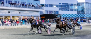 Tio från länet till Bergsåkers storloppshelg – Makethemark i Sundsvall Open – Maybach W.F och Idomenio Sisu i derbykval