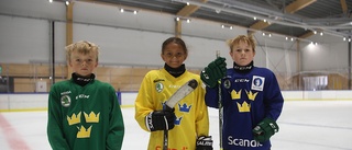 Årets hetaste dag - då går kyliga hockeyknattar på is