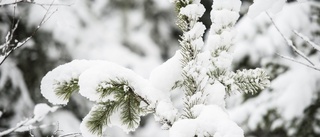 Ledare: Snön faller och vi med den