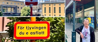 Rosita är hjärnan bakom skyltarna i Norrköping • Därför fick hon idén • "Oftast försöker man att dölja sin dialekt"