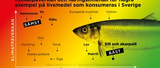 Ska sätta sprätt på hela sillen