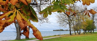 Höststämning i Motala och Vadstena