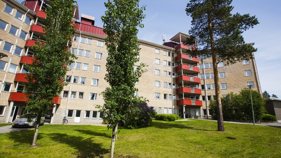 "Det verkar som om bostadsföretaget inte håller efter på något bra sätt" säger Karin Åman-Engberg vars son skulle ha flyttat in i det här huset i Luleå men vände på klacken när ohyra hittades i studentlägenheten.