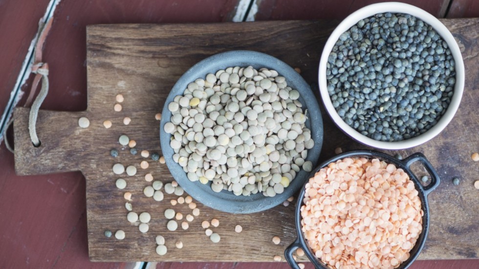 Linser och quinoa kan i framtiden bli en av de viktiga delarna i Gotlands slagteris framställning av livsmedel.