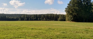 Läsarbild: Härligt sensommarväder i Boden