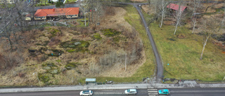 Leker barnen verkligen i snårskogen?