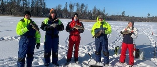  1 350 gram abborre gav seger i klubbmästerkapet 