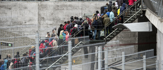 Många flyktingar från 2015 saknar jobb