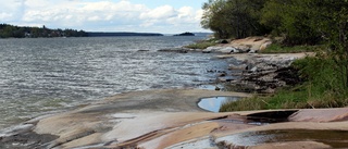 Skapa ett stadsnära naturreservat i Västervik