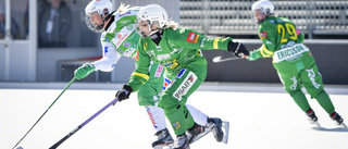 Elitserierna i bandy stängs