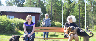 Vägen tillbaka efter förskingringen 