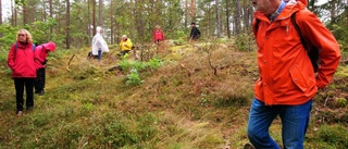 De letade efter en fikaplats på coronaavstånd