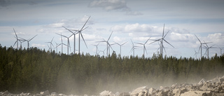 Prioritera landsbygd och natur före mer vindkraft