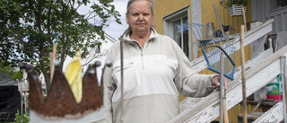 Hundar driver bostadsområde till vansinne