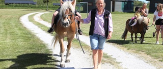 På Gangvide farm kan hela familjen ha kul 