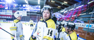 Beskedet: Kiruna AIF satsar vidare i Hockeyettan