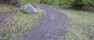 Cyklister förstör vandringsleder i naturreservat