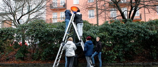 Ljusdesignprojekt i stadsparken