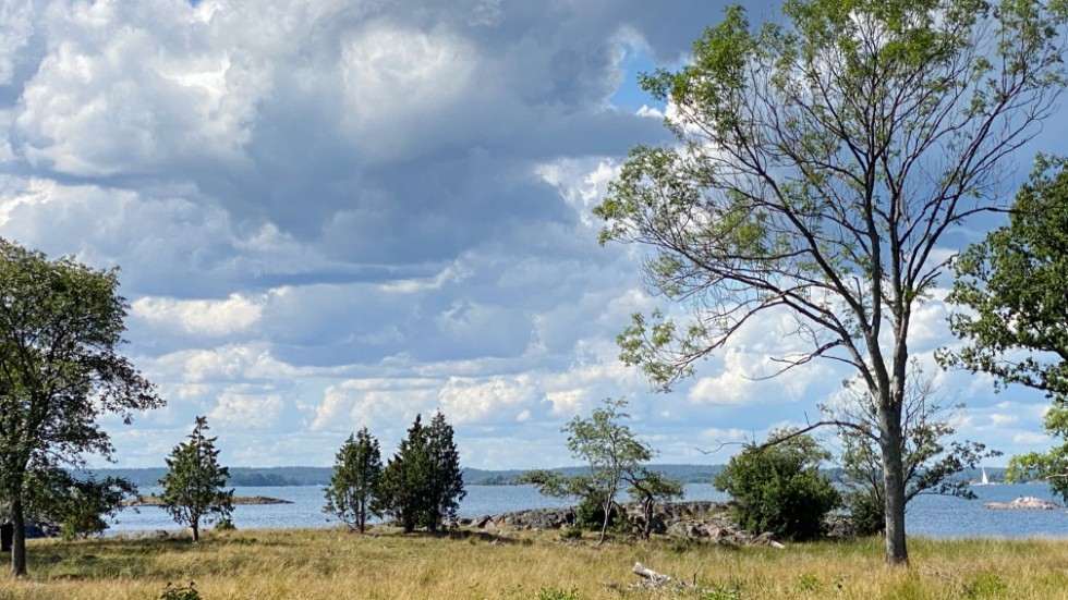 Vi har här ett fantastiskt natur- och kulturlandskap av riksintresse för naturvård, friluftsliv, turism och obruten kust, skriver artikelförfattarna. Arkivbild Aspöja.