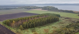 Trots Motalas nej till jätteprojektet: "Övertygad att anläggningen blir av"