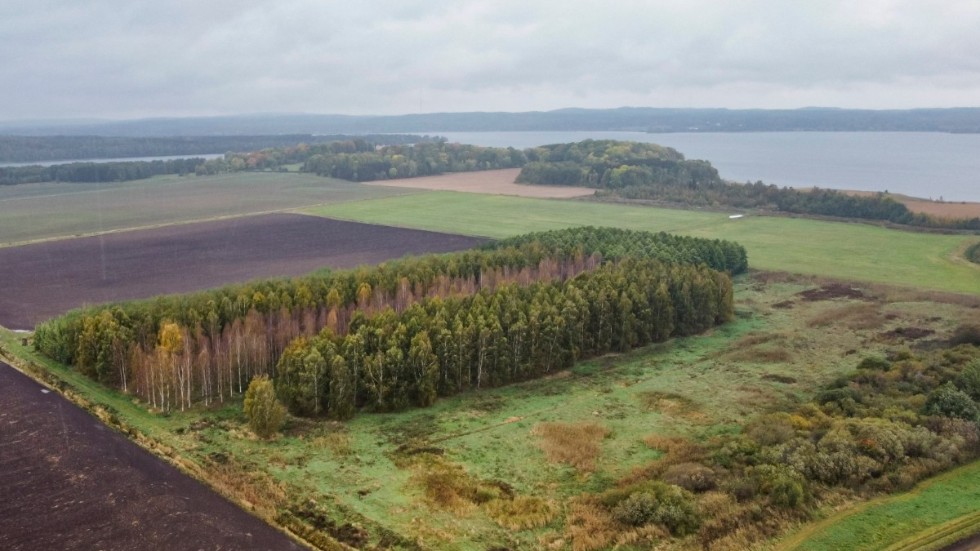 Det aktuella området för solcellsparken i Ulvåsa. För nära både Borenstranden och slottsmiljlön, invänder Motala kommuns plan- och byggenhet. Slottet kan anas som en ljusare punkt på den vänstra udden mot Boren.