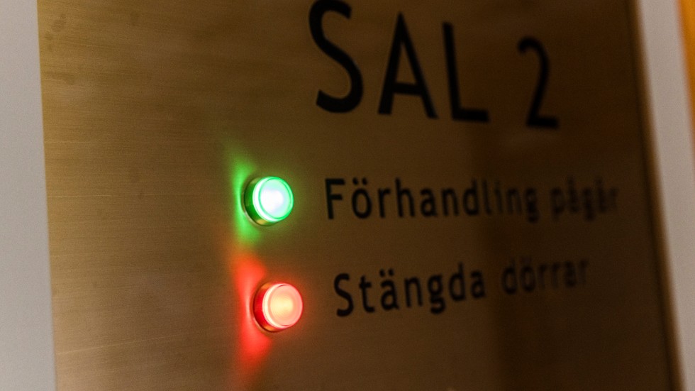 34-åringen var tidigare ostraffad. När han åtalades omfattade åtalet elva olika brott, och han döms till åtta månaders fängelse.