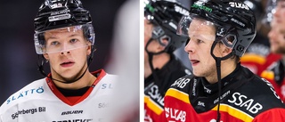 Vita Hästen vill låna SHL-backen: "Vi är intresserade"