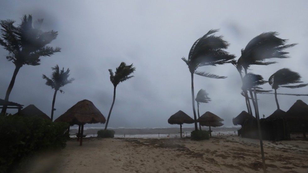 Hårda vinda och mycket regn drabbade Quintana Roo i Mexiko när Grace drog in över land i torsdags.