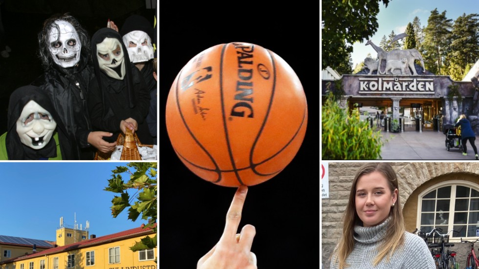 Höstlovet står för dörren i Strängnäs kommun. Fritidsledaren Sandra Wallin, längst ner till höger, är mycket nöjd med årets program som bland annat innehåller spöken, evenemang i Gula industrihuset, bussresa till Kolmården och basketcup i Thomas arena.